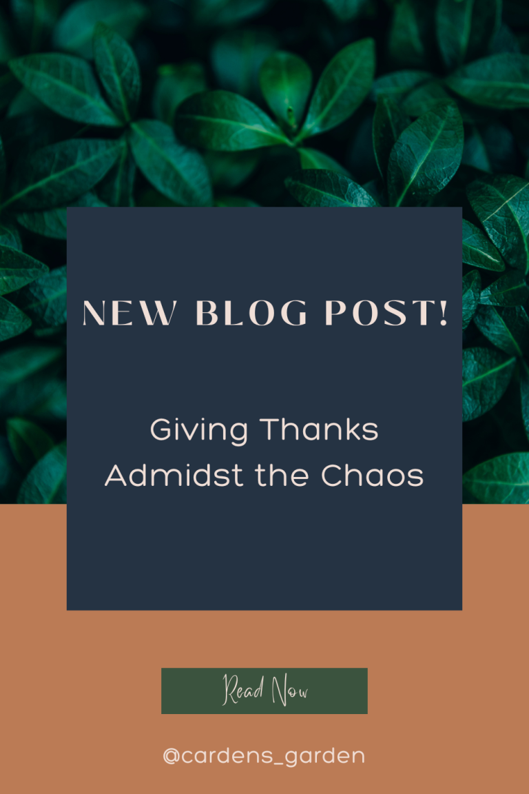 Giving Thanks Amidst the Chaos