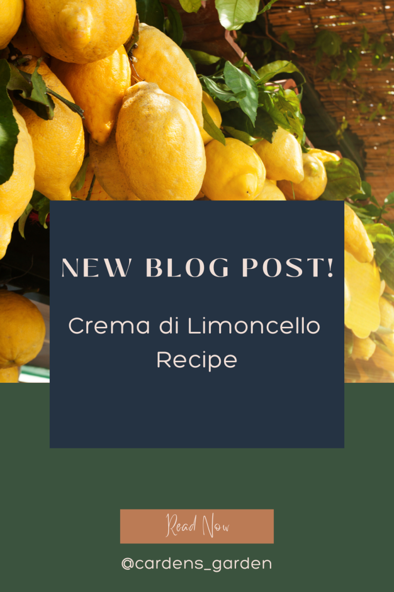 Crema di Limoncello Recipe