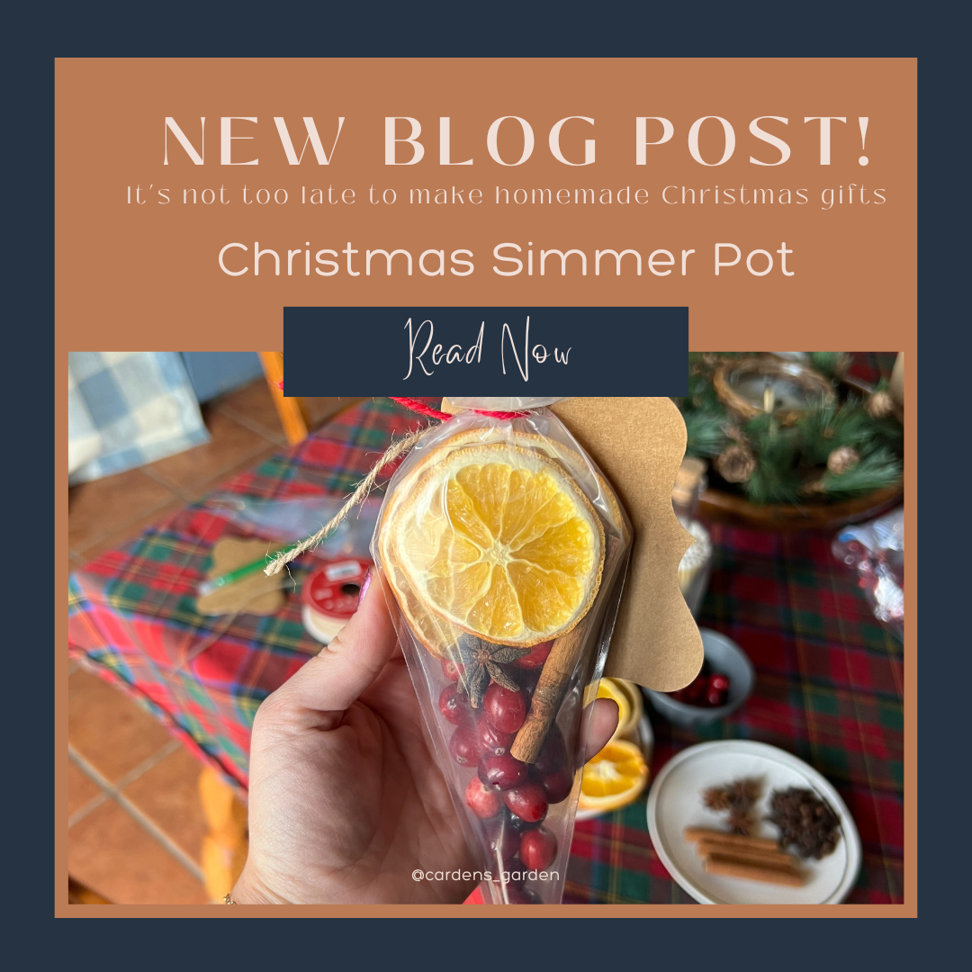 Christmas Simmer Potpourri